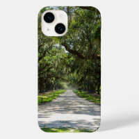 Avenue Of Oaks