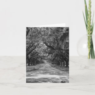 Avenue Of Oaks Grayscale Thank You Card