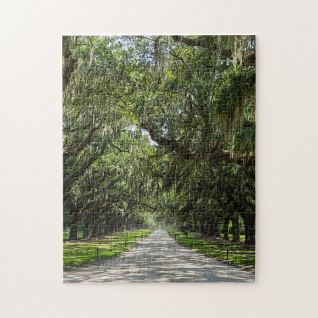 Avenue Of Oaks Jigsaw Puzzle (Vertical)