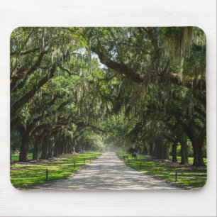 Avenue Of Oaks Mouse Pad