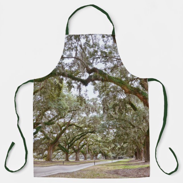 Avenue of Oaks, South Carolina Apron (Front)