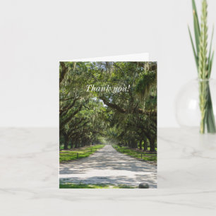 Avenue Of Oaks Thank You Card