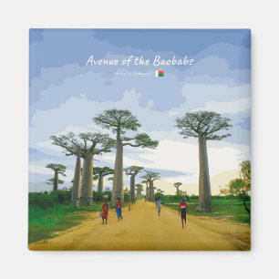 Avenue of the Baobabs, Madagascar - Landscape Magnet