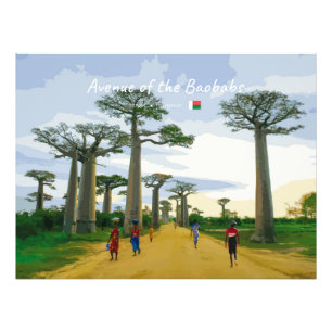 Avenue of the Baobabs, Madagascar - Landscape Photo Print