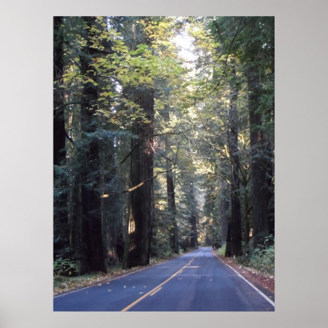Avenue of the Giants- Humboldt Redwoods State Park Poster (Front)