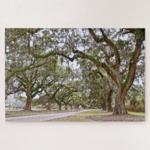 Avenue of the Oaks, South Carolina Jigsaw Puzzle