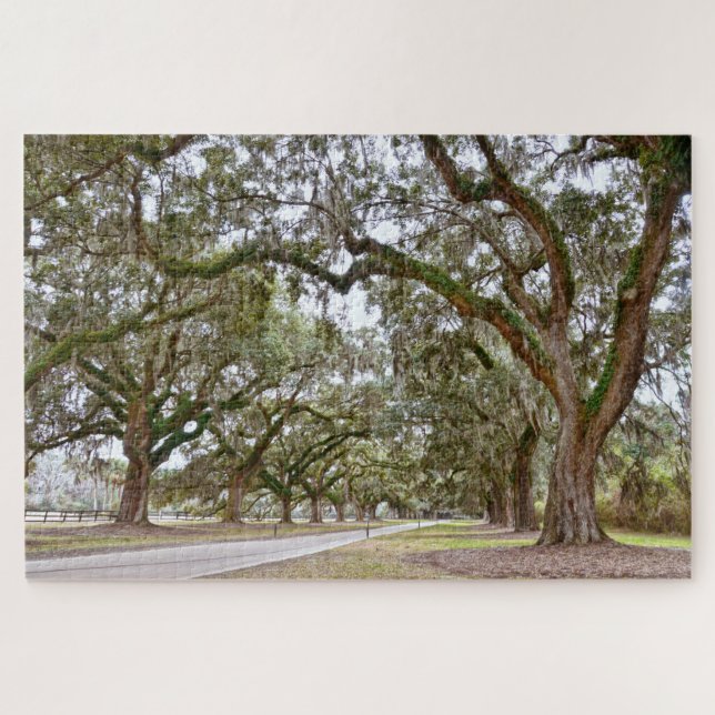 Avenue of the Oaks, South Carolina Jigsaw Puzzle (Horizontal)