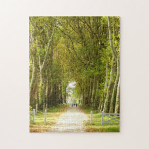 Avenue of Trees Photo Puzzle with Gift Box