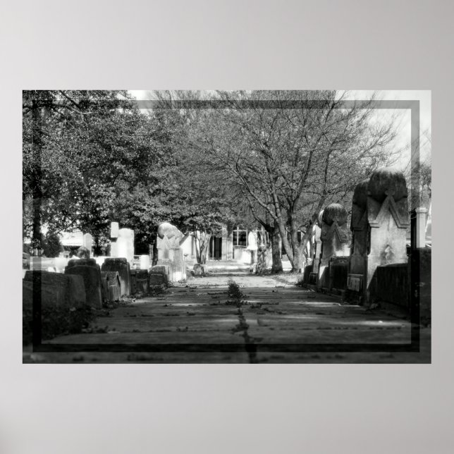 Avenue Poster (Front)