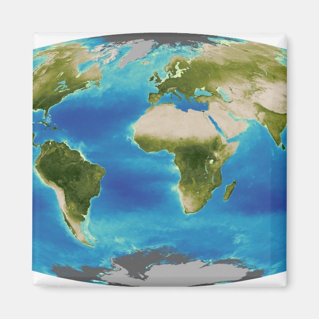 Average plant growth of the Earth Magnet (Front)