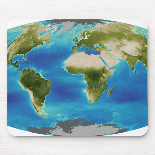 Average plant growth of the Earth Mouse Pad (Front)
