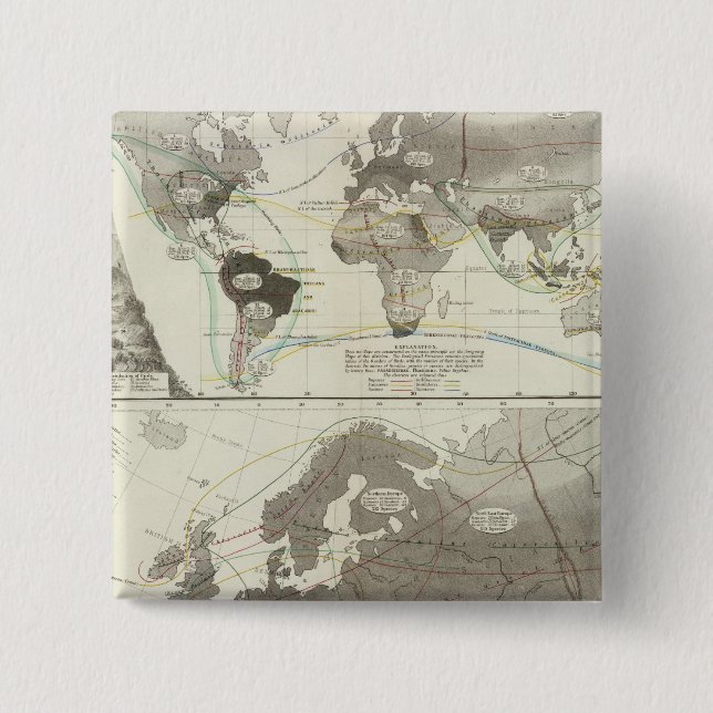 Aves, Birds 15 Cm Square Badge (Front)