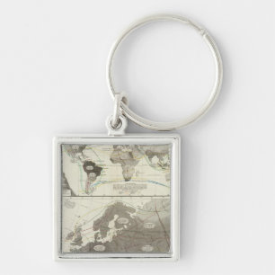 Aves, Birds Key Ring