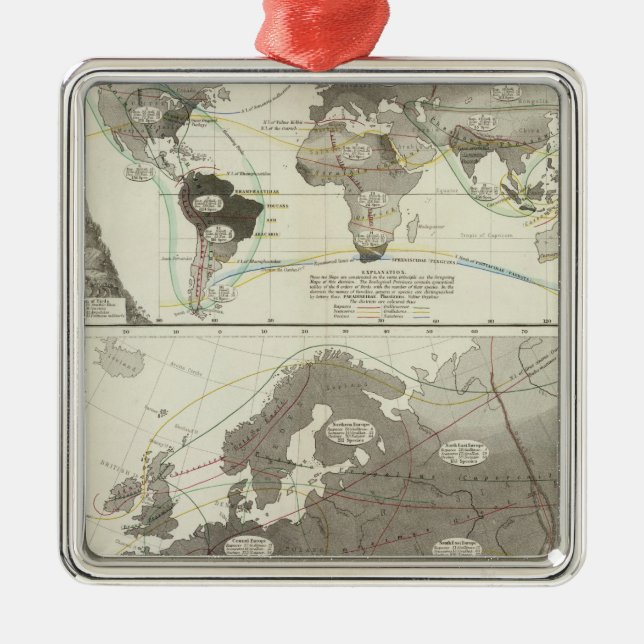 Aves, Birds Metal Tree Decoration (Front)