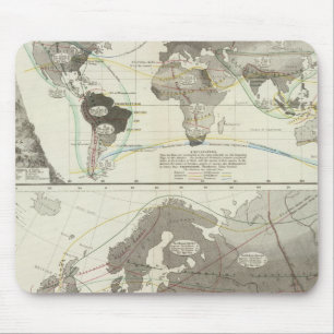 Aves, Birds Mouse Pad