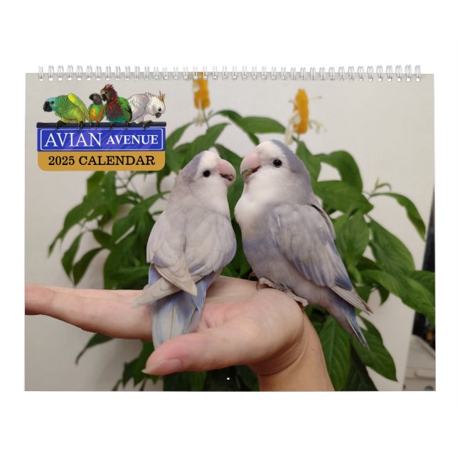 Avian Avenue 2025 Parrot Calendar (Cover)