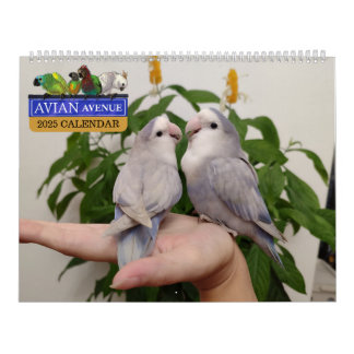 Avian Avenue 2025 Parrot Calendar