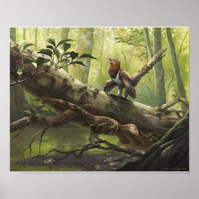 Avian Balaur bondoc Poster (Front)