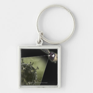 Avian flu coming out of bird key ring
