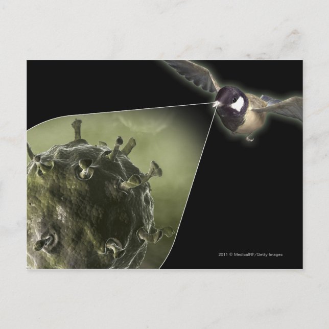 Avian flu coming out of bird postcard (Front)