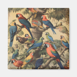 Avian Gathering & Tropical Canopy Assembly Magnet