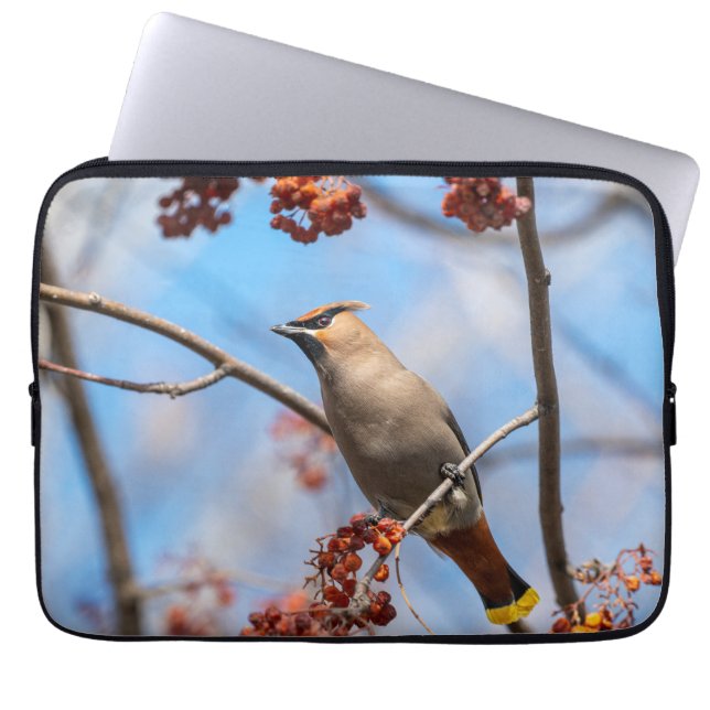 Avian Photography, Bohemian Waxwing Laptop Sleeve (Front)