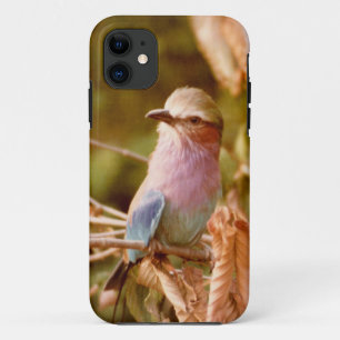 Aviary iPhone 11 Case