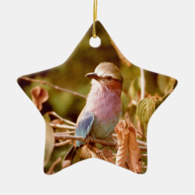 Aviary Ceramic Tree Decoration (Front)