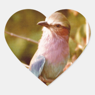 Aviary Heart Sticker