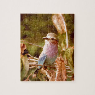Aviary Jigsaw Puzzle