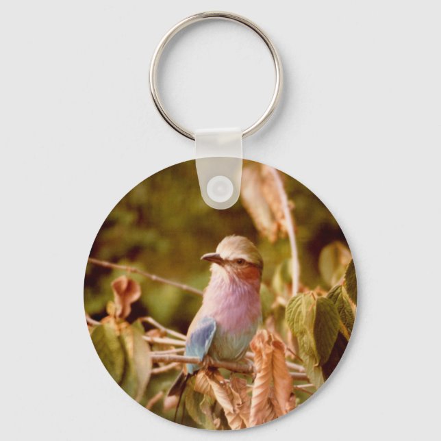 Aviary Key Ring (Front)