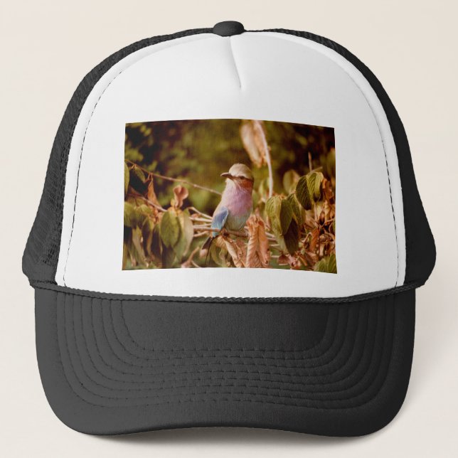 Aviary Trucker Hat (Front)