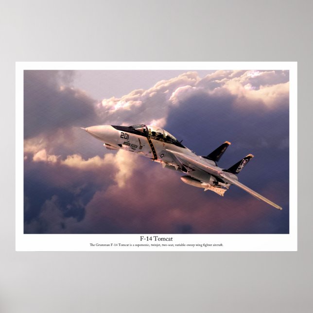 Aviation Art Poster "F-14 Tomcat" (Front)