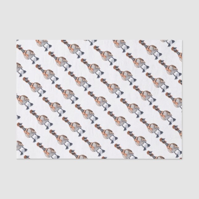 Aviator Goose Tissue Paper (Front)