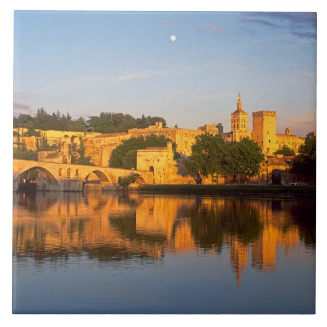 Avignon, Vaucluse, Provence, France, Rhone Tile (Front)