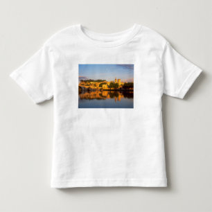 Avignon, Vaucluse, Provence, France, Rhone Toddler T-Shirt