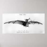 Avion III, 'The Bat'