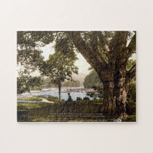 Avoca Wicklow Ireland, Thomas Moore poem Jigsaw Puzzle
