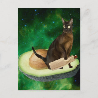 avocado cat postcard