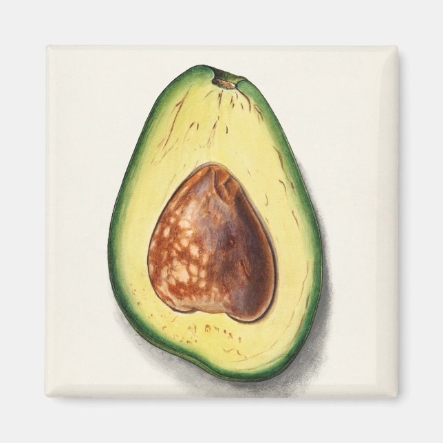 Avocado Magnet (Front)