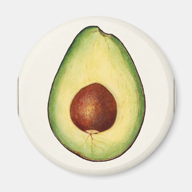 Avocado Magnet (Front)