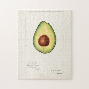 Avocado (Persea) Fruit Watercolor Painting Jigsaw Puzzle