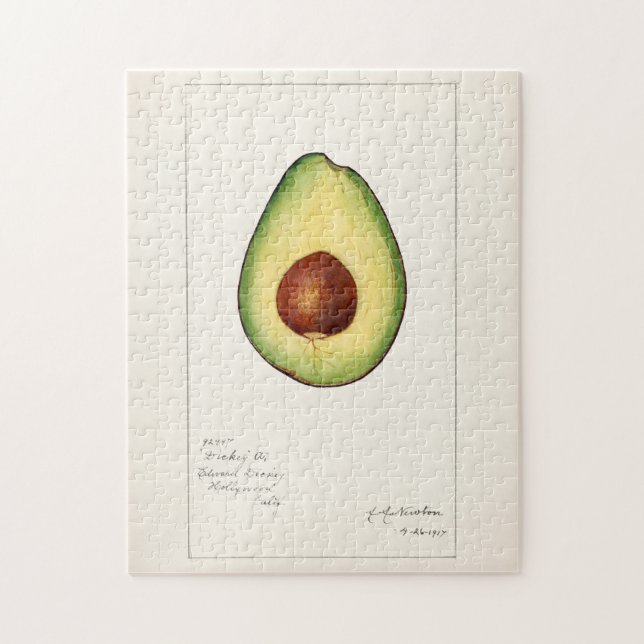 Avocado (Persea) Fruit Watercolor Painting Jigsaw Puzzle (Vertical)