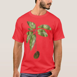 Avocado Plant Classic TShirt