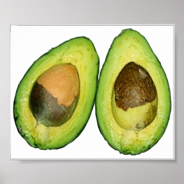 avocado poster (Front)