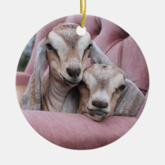 Avocado & Smooshie Holiday Ornament