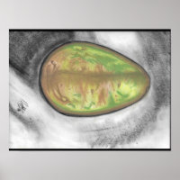 Avocado still life pastel poster