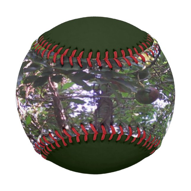 Avocado Tree Baseball (Front)