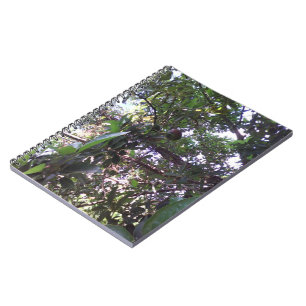 Avocado Tree Notebook