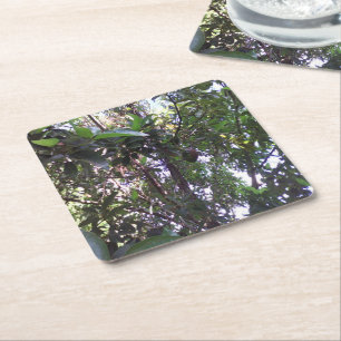 Avocado Tree Square Paper Coaster